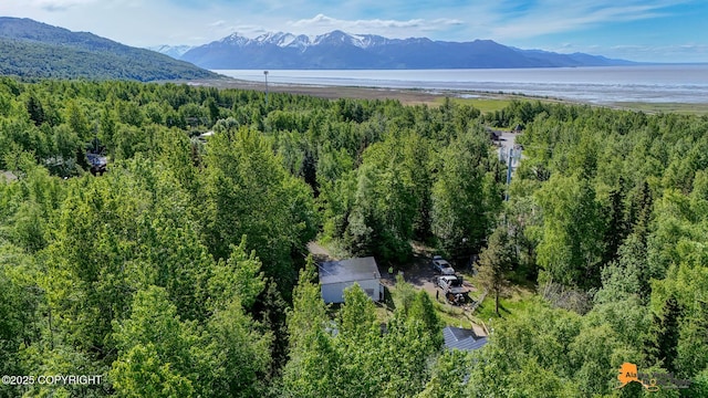 3151 E 151st Ave, Anchorage, AK 99516 - aerial view of a forest and a mountain backdrop