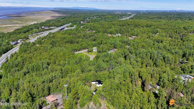 3151 E 151st Ave, Anchorage, AK 99516 - aerial view of property and surrounding area featuring a forest