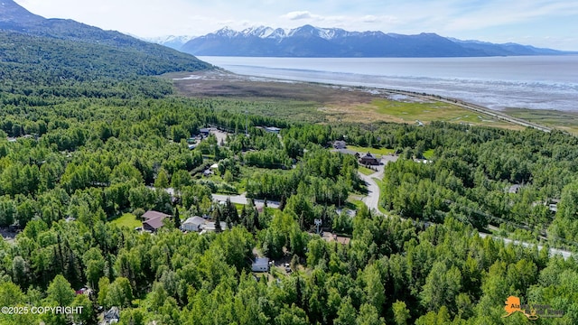 3151 E 151st Ave, Anchorage, AK 99516 - bird's eye view of a heavily wooded area and a water and mountain view