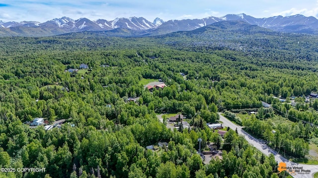 3151 E 151st Ave, Anchorage, AK 99516 - aerial view of a heavily wooded area and mountains