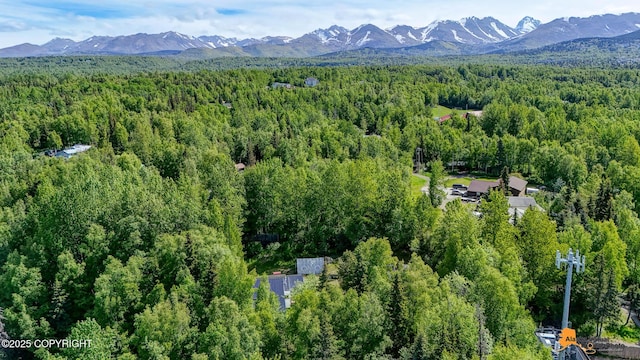 3151 E 151st Ave, Anchorage, AK 99516 - aerial view of property's location featuring a forest and mountains