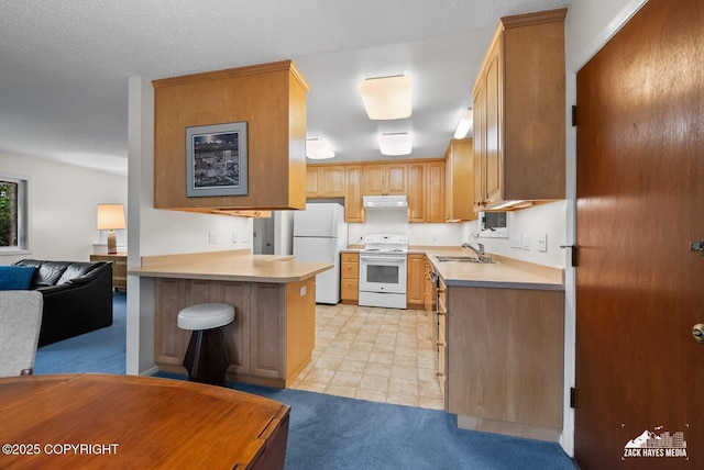 3750 Winterset Dr, Anchorage, AK 99508 - kitchen featuring white appliances, under cabinet range hood, a peninsula, open floor plan, and light countertops