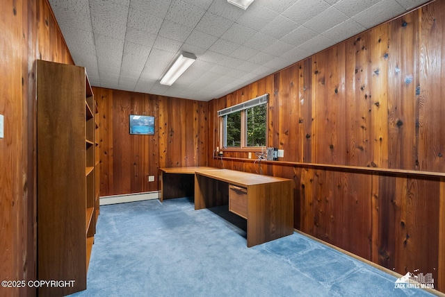 3750 Winterset Dr, Anchorage, AK 99508 - unfurnished office featuring carpet floors, baseboard heating, and wooden walls