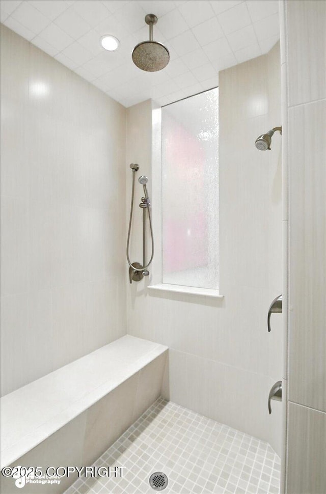 10500 Blackwolf Cir, Anchorage, AK 99507 - bathroom featuring tiled shower