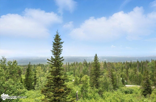 10500 Blackwolf Cir, Anchorage, AK 99507 - view of woods