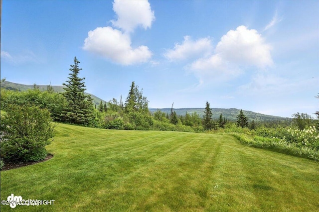 10500 Blackwolf Cir, Anchorage, AK 99507 - view of grassy yard featuring a mountain view