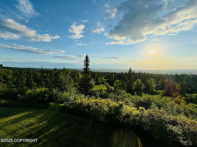 10500 Blackwolf Cir, Anchorage, AK 99507 - aerial view of a forest