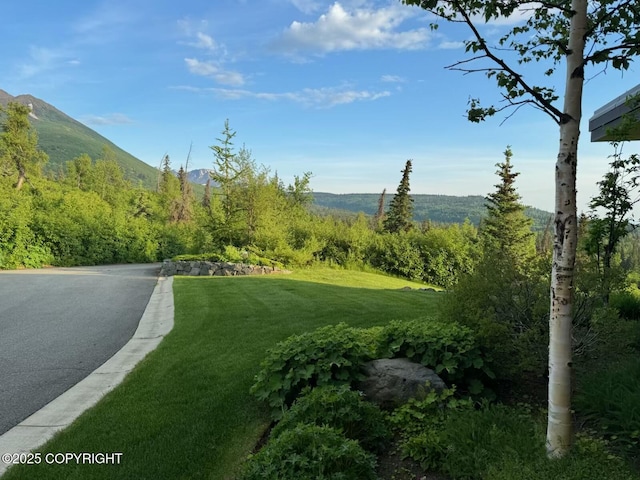 10500 Blackwolf Cir, Anchorage, AK 99507 - view of property's community with a lawn and a mountain view