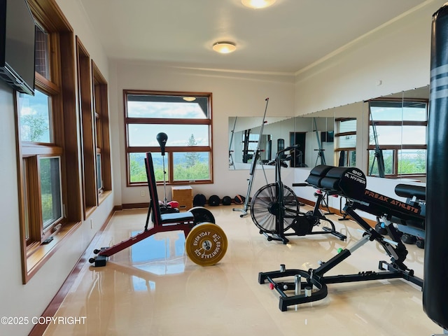 10500 Blackwolf Cir, Anchorage, AK 99507 - view of exercise area