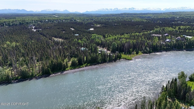 33426 Mid River Ave, Soldotna, AK 99669 - drone / aerial view of a forest and a water and mountain view