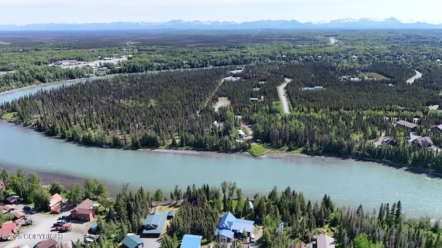 33426 Mid River Ave, Soldotna, AK 99669 - drone / aerial view of a forest and a water and mountain view