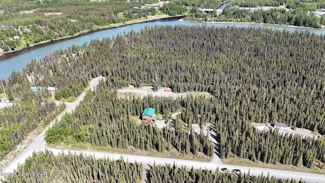 33426 Mid River Ave, Soldotna, AK 99669 - drone / aerial view of a heavily wooded area and a large body of water