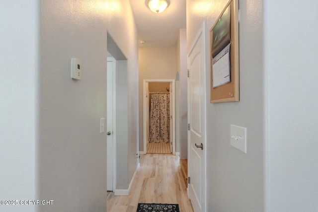 33426 Mid River Ave, Soldotna, AK 99669 - hallway featuring light wood-style flooring and baseboards