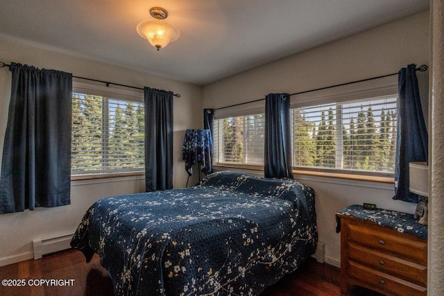33426 Mid River Ave, Soldotna, AK 99669 - bedroom with baseboard heating, multiple windows, and wood finished floors