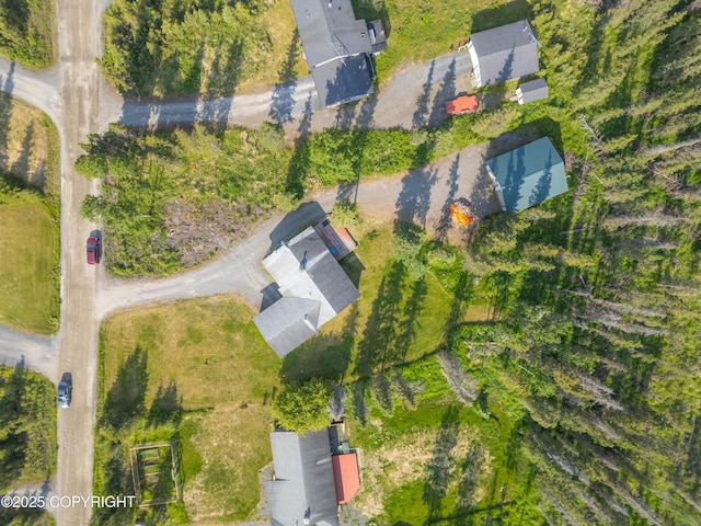48160 Snowflake Ct, Soldotna, AK 99669 - bird's eye view