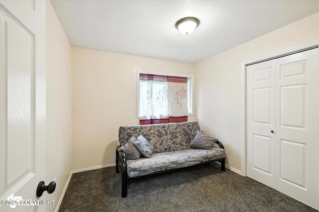 1940 E Caribou Loop, Wasilla, AK 99654 - living area with carpet flooring and a textured ceiling