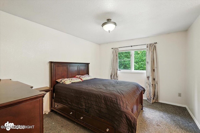 1940 E Caribou Loop, Wasilla, AK 99654 - bedroom featuring dark carpet and baseboards
