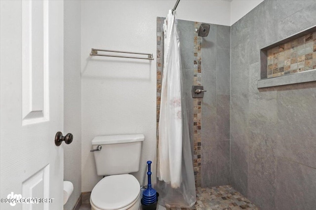 1940 E Caribou Loop, Wasilla, AK 99654 - full bathroom with a tile shower and toilet