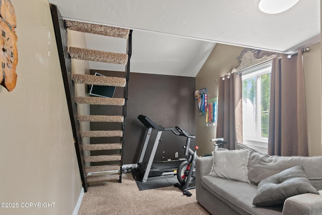 41167 Witman Ct, Soldotna, AK 99669 - workout area featuring carpet, vaulted ceiling, and baseboards
