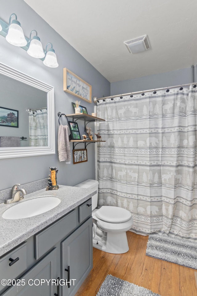 41167 Witman Ct, Soldotna, AK 99669 - bathroom featuring wood finished floors, vanity, toilet, and a shower with shower curtain