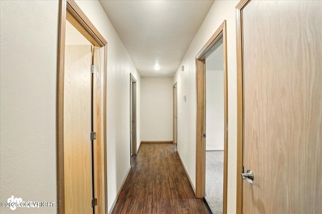 3963 N Coronado St, Wasilla, AK 99623 - corridor with dark wood-type flooring and baseboards