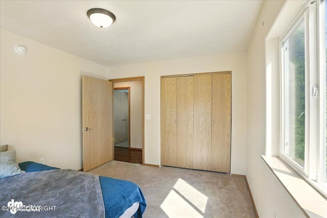 3963 N Coronado St, Wasilla, AK 99623 - bedroom featuring multiple windows, light colored carpet, and a closet