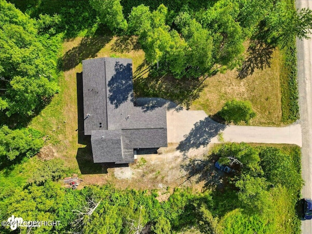 3963 N Coronado St, Wasilla, AK 99623 - view from above of property