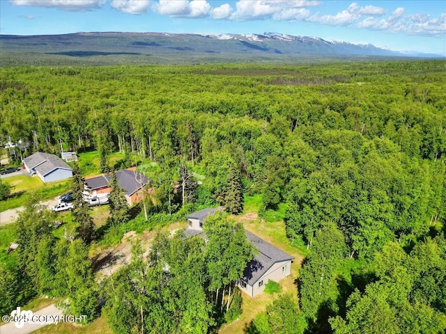 3963 N Coronado St, Wasilla, AK 99623 - aerial view of a forest
