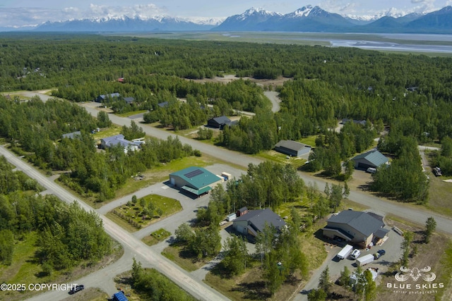 6961 S Hangar Talk Cir, Wasilla, AK 99623 - bird's eye view of a forest and a water and mountain view