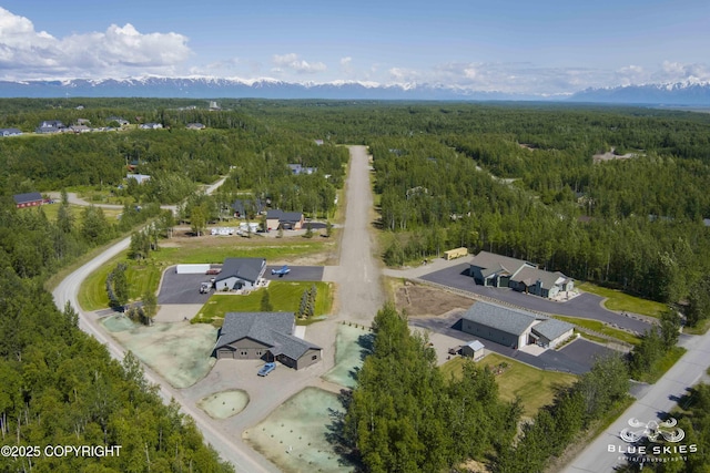 6961 S Hangar Talk Cir, Wasilla, AK 99623 - aerial view of a heavily wooded area