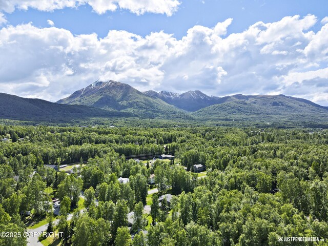 22874 Northwoods Dr, Chugiak, AK 99567 - photo 41