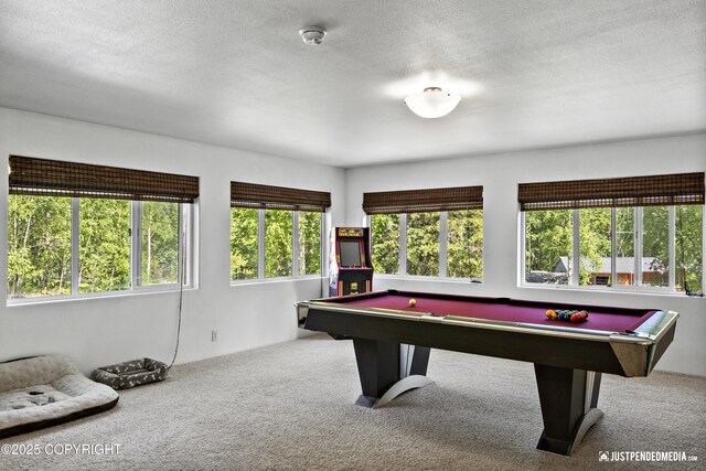 22874 Northwoods Dr, Chugiak, AK 99567 - photo 36
