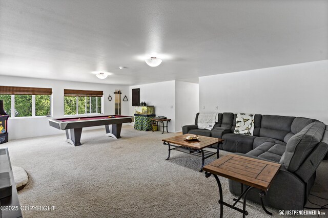 22874 Northwoods Dr, Chugiak, AK 99567 - photo 43