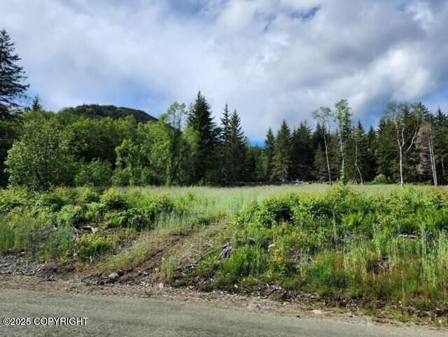 LOT7 Barnett St, Haines, AK 99827