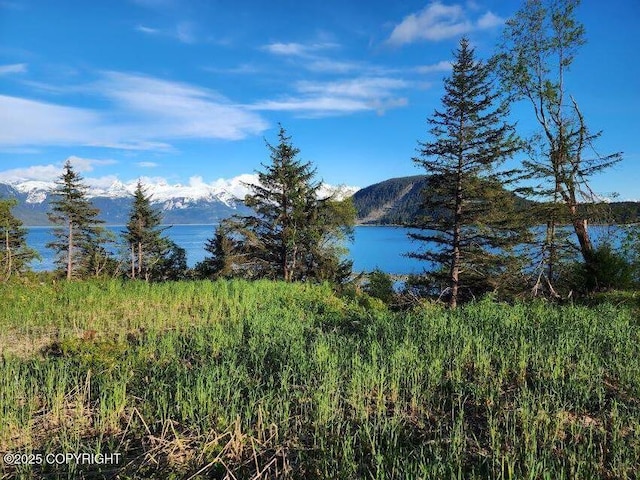 LOT7 Barnett St, Haines, AK 99827