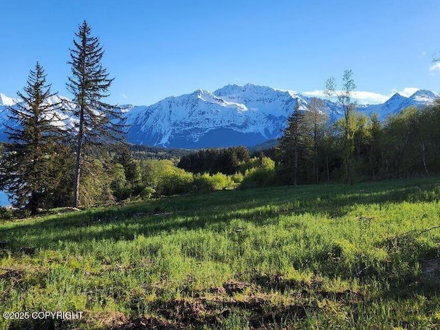 LOT7 Barnett St, Haines, AK 99827