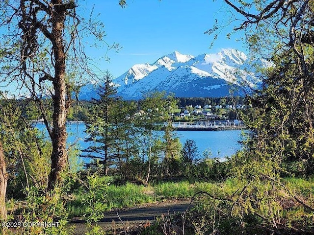 LOT7 Barnett St, Haines, AK 99827