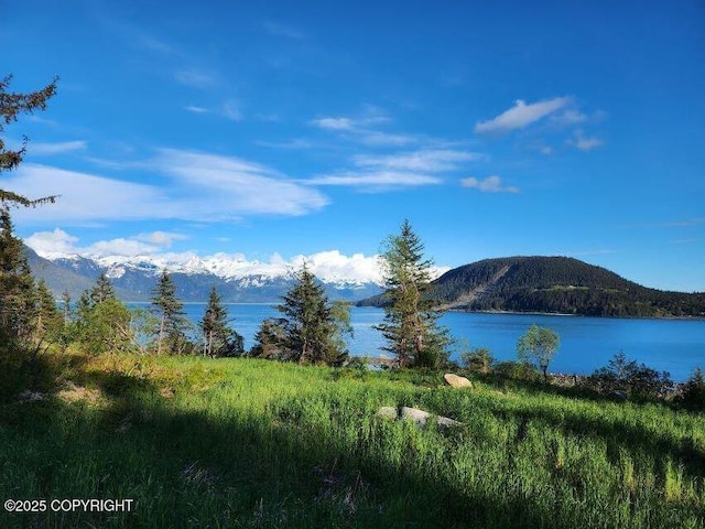 LOT7 Barnett St, Haines, AK 99827