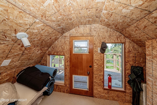 45638 Back Troll, Kenai, AK 99611 - unfurnished bedroom featuring vaulted ceiling and carpet flooring