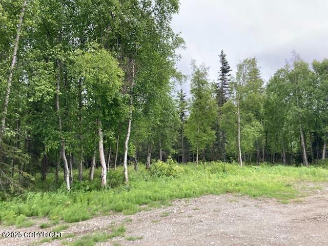 50470 Maranatha Ln, Nikiski/North Kenai, AK 99611 - view of nature