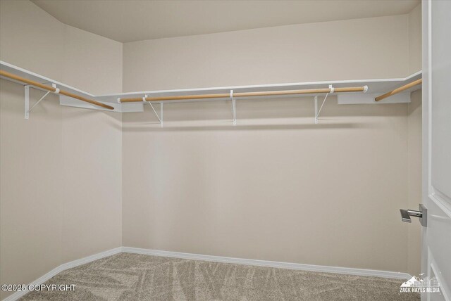 2987 Morgan Loop, Anchorage, AK 99516 - spacious closet with carpet floors