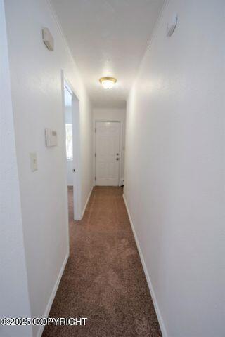 308 Stewart St, Anchorage, AK 99508 - photo 11