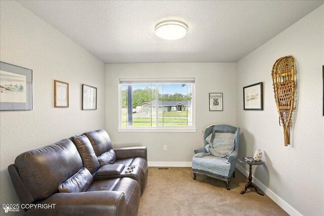 7770 E Sandstone Dr, Wasilla, AK 99654 - photo 27