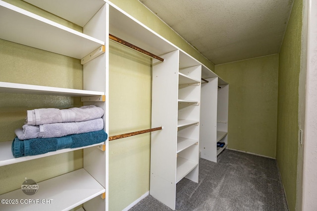 8100 E 20th Ave, Anchorage, AK 99504 - spacious closet featuring carpet floors