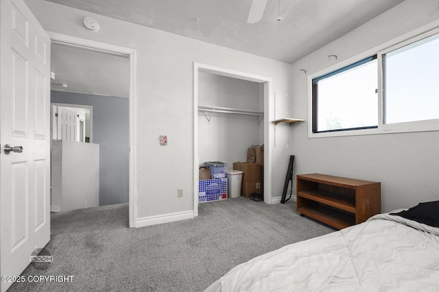 8100 E 20th Ave, Anchorage, AK 99504 - bedroom with a closet, carpet, and ceiling fan