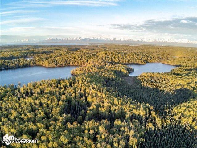 23165 S Twin Island Dr, Wasilla, AK 99654 - photo 3