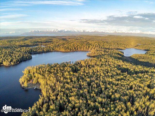 23165 S Twin Island Dr, Wasilla, AK 99654 - photo 4