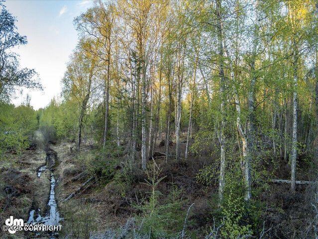 23165 S Twin Island Dr, Wasilla, AK 99654 - photo 6
