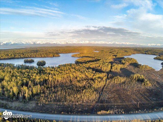 23165 S Twin Island Dr, Wasilla, AK 99654 - photo 1