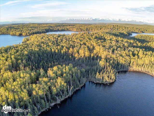23165 S Twin Island Dr, Wasilla, AK 99654 - photo 9